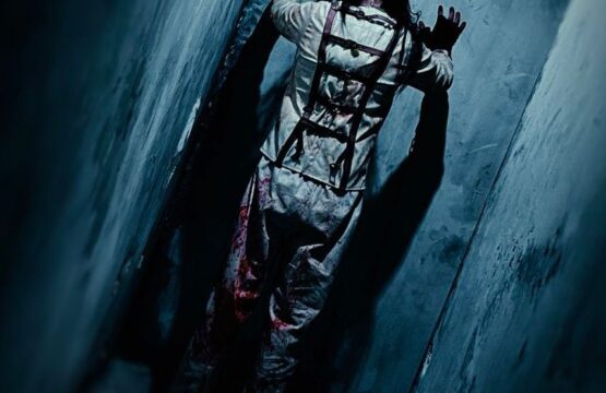 L'asile version Hallowwen