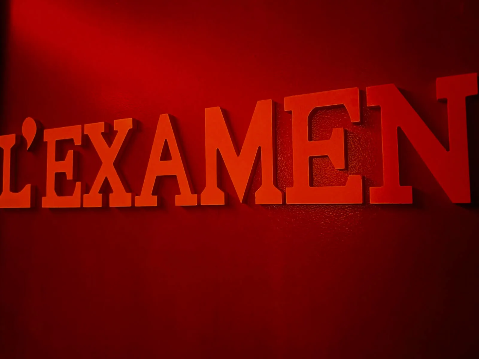 L’Examen - photo 1