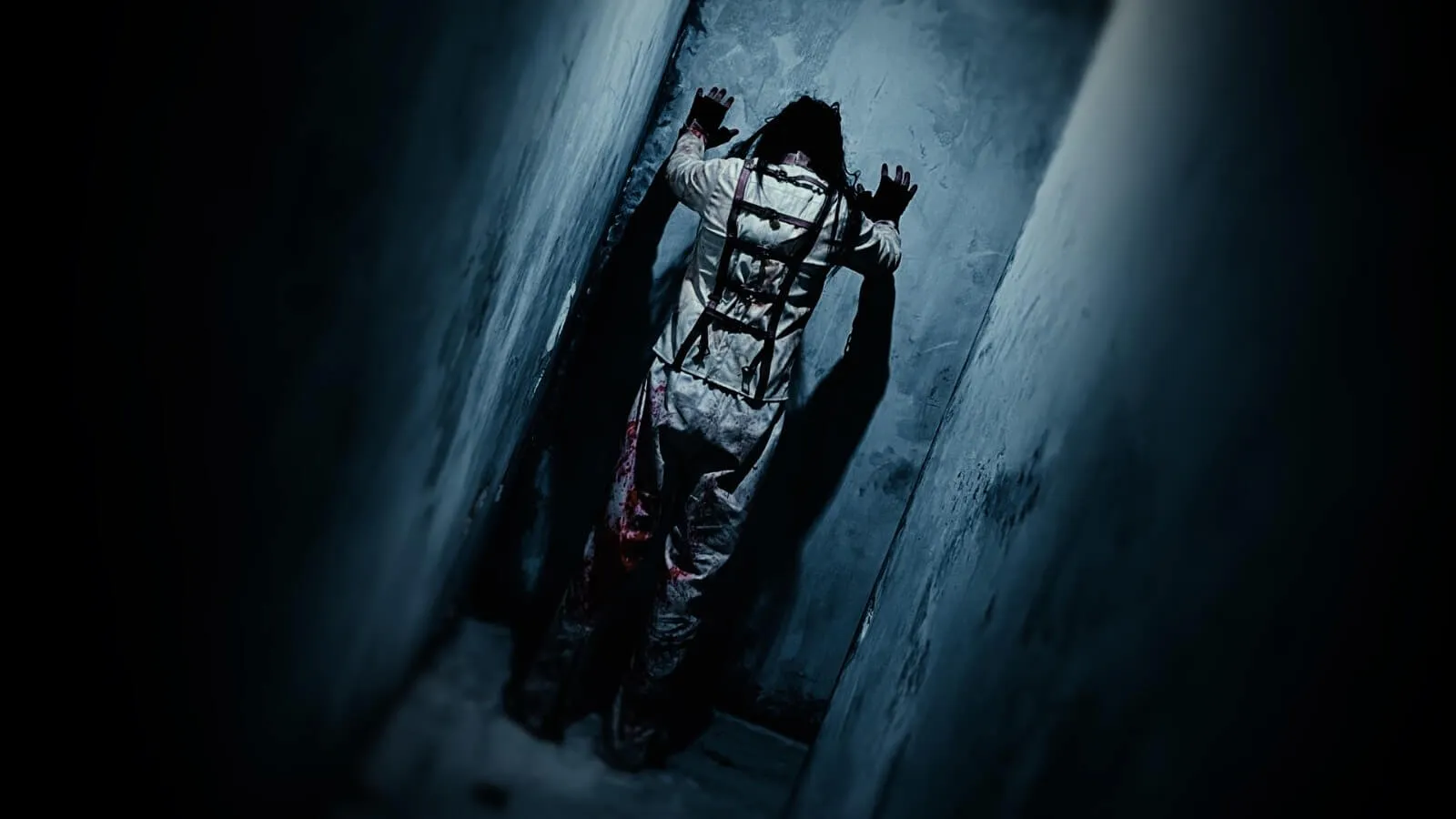 L’Asile partie 2 - photo 5